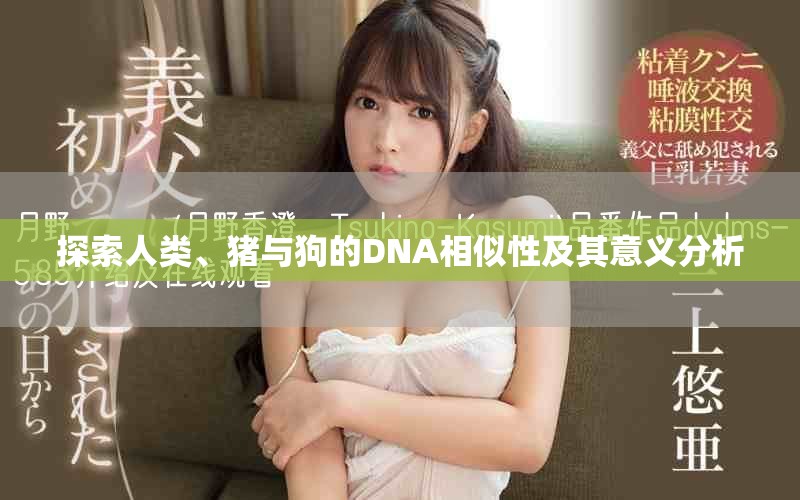 探索人类、猪与狗的DNA相似性及其意义分析