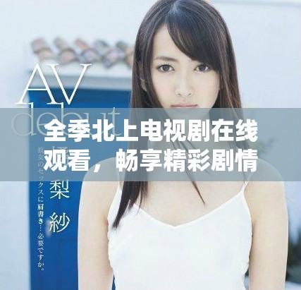 全季北上电视剧在线观看，畅享精彩剧情与感人故事