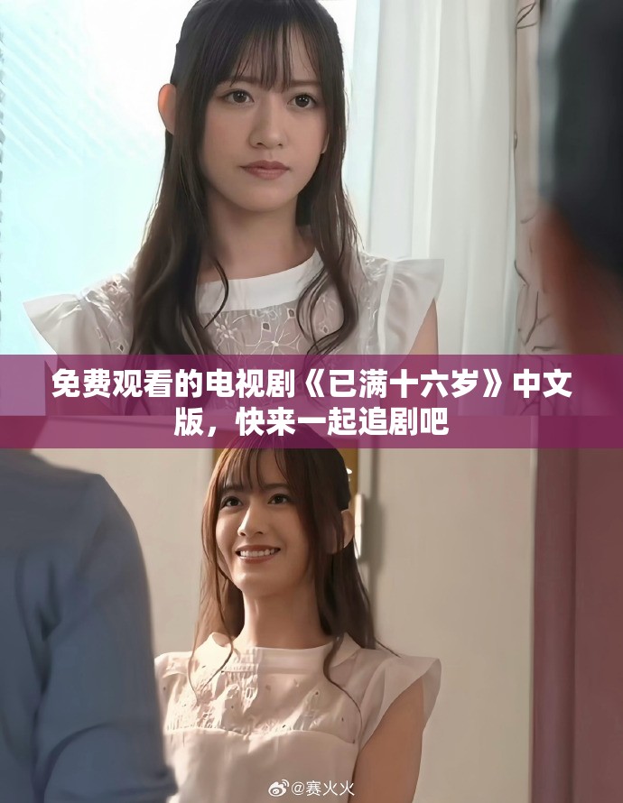 免费观看的电视剧《已满十六岁》中文版，快来一起追剧吧