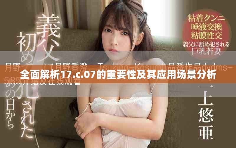 全面解析17.c.07的重要性及其应用场景分析