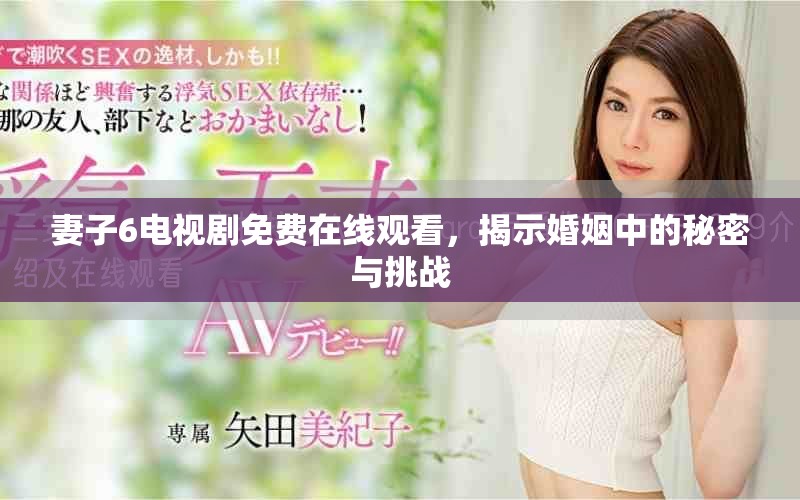 妻子6电视剧免费在线观看，揭示婚姻中的秘密与挑战