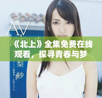 《北上》全集免费在线观看，探寻青春与梦想的精彩旅程