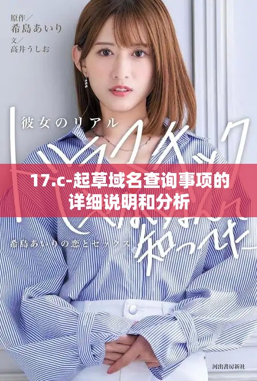 17.c-起草域名查询事项的详细说明和分析