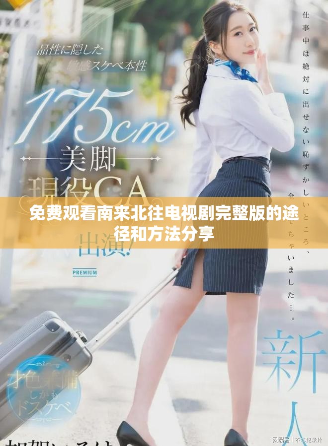 免费观看南来北往电视剧完整版的途径和方法分享