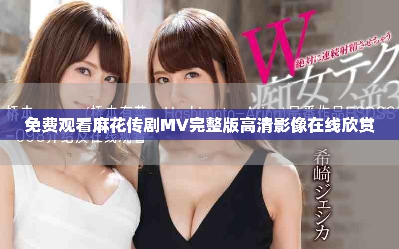 免费观看麻花传剧MV完整版高清影像在线欣赏
