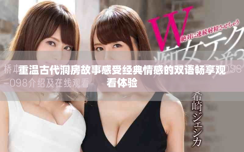 重温古代洞房故事感受经典情感的双语畅享观看体验