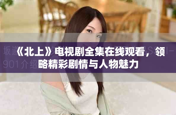 《北上》电视剧全集在线观看，领略精彩剧情与人物魅力