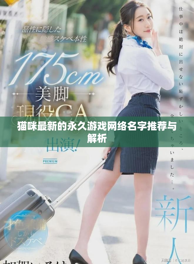 猫咪最新的永久游戏网络名字推荐与解析