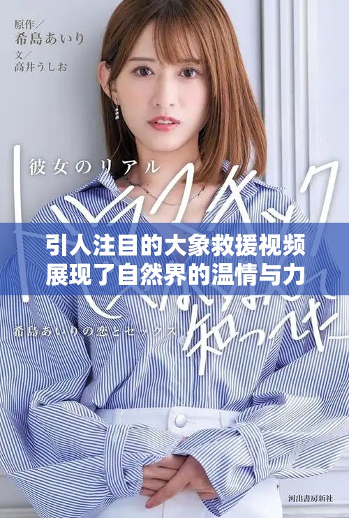 引人注目的大象救援视频展现了自然界的温情与力量