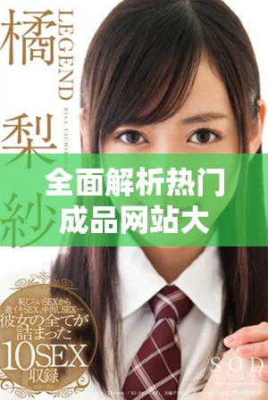 全面解析热门成品网站大全的下载方式与使用技巧分享