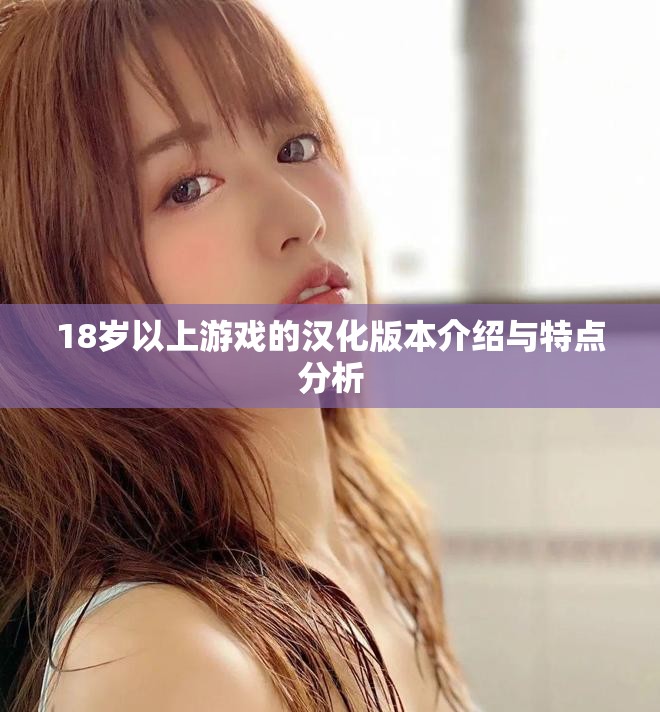 18岁以上游戏的汉化版本介绍与特点分析