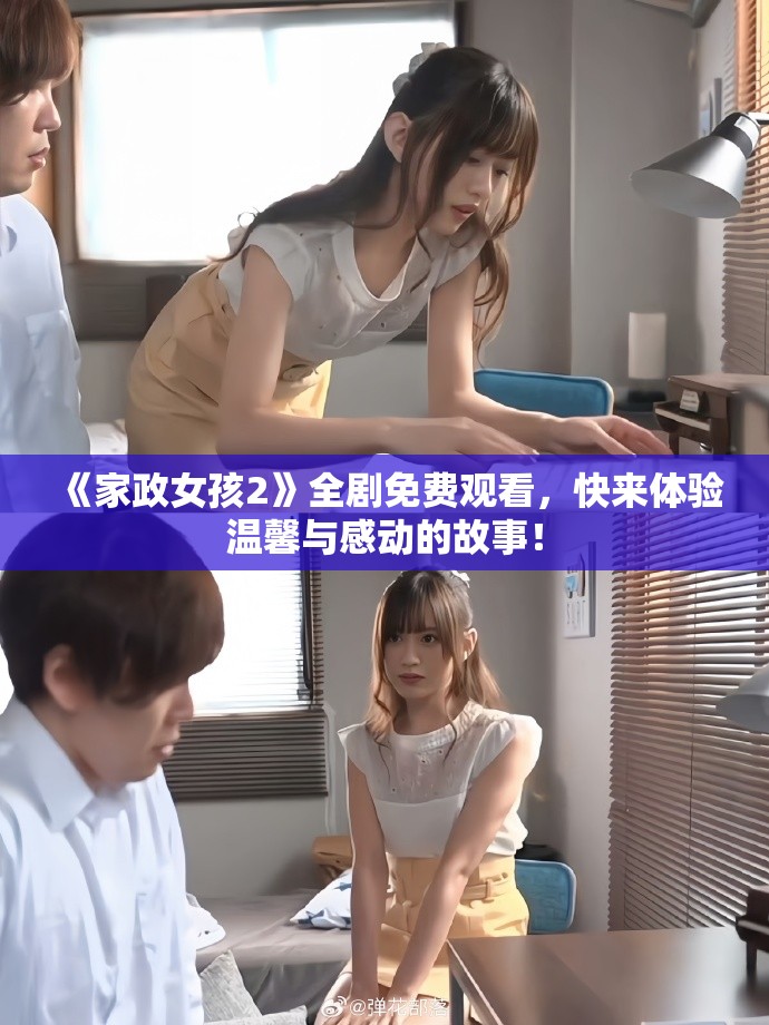 《家政女孩2》全剧免费观看，快来体验温馨与感动的故事！