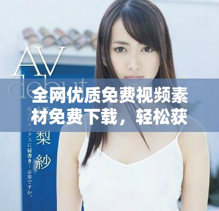 全网优质免费视频素材免费下载，轻松获取高清素材资源