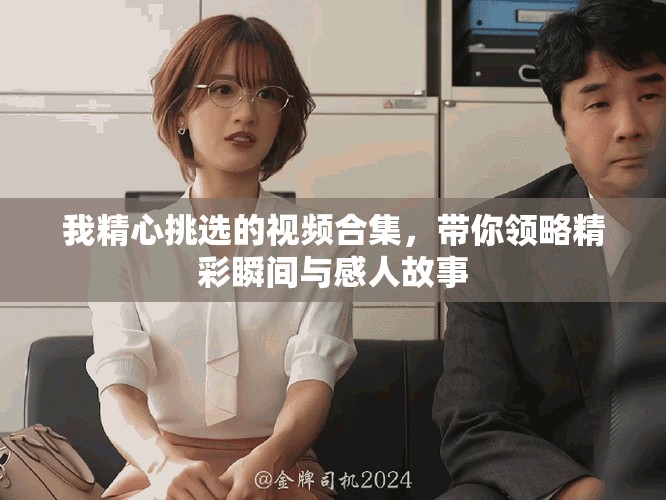 我精心挑选的视频合集，带你领略精彩瞬间与感人故事