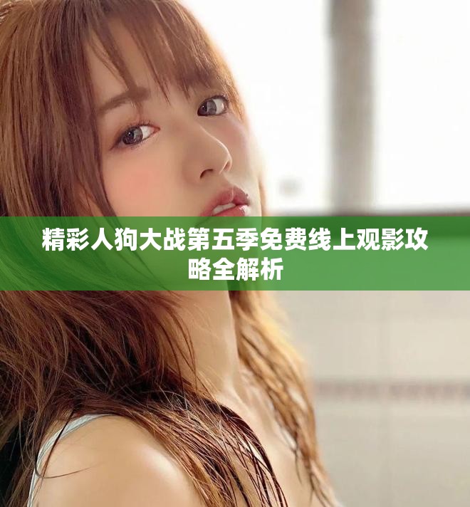 精彩人狗大战第五季免费线上观影攻略全解析