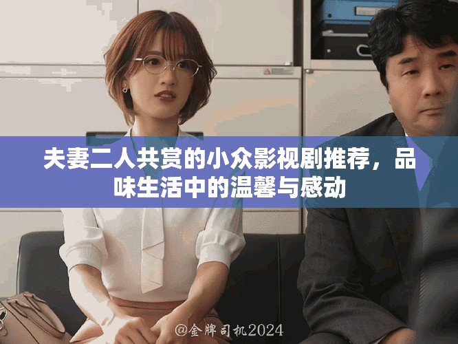 夫妻二人共赏的小众影视剧推荐，品味生活中的温馨与感动
