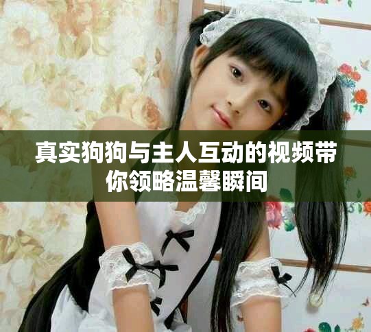 真实狗狗与主人互动的视频带你领略温馨瞬间