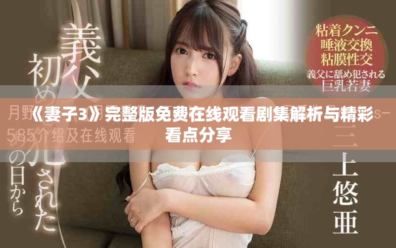 《妻子3》完整版免费在线观看剧集解析与精彩看点分享