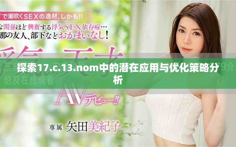 探索17.c.13.nom中的潜在应用与优化策略分析