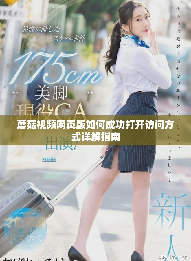 蘑菇视频网页版如何成功打开访问方式详解指南