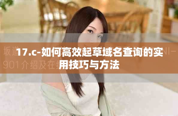 17.c-如何高效起草域名查询的实用技巧与方法