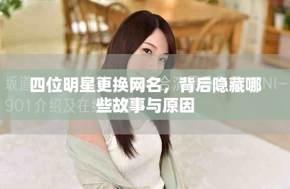 四位明星更换网名，背后隐藏哪些故事与原因